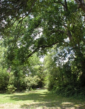 The Labyrinth awaits down the path through the trees...