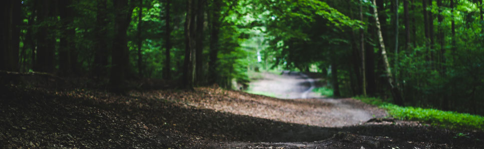 path