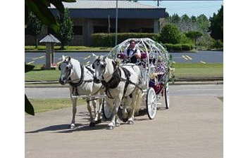wedding-carriage.jpg